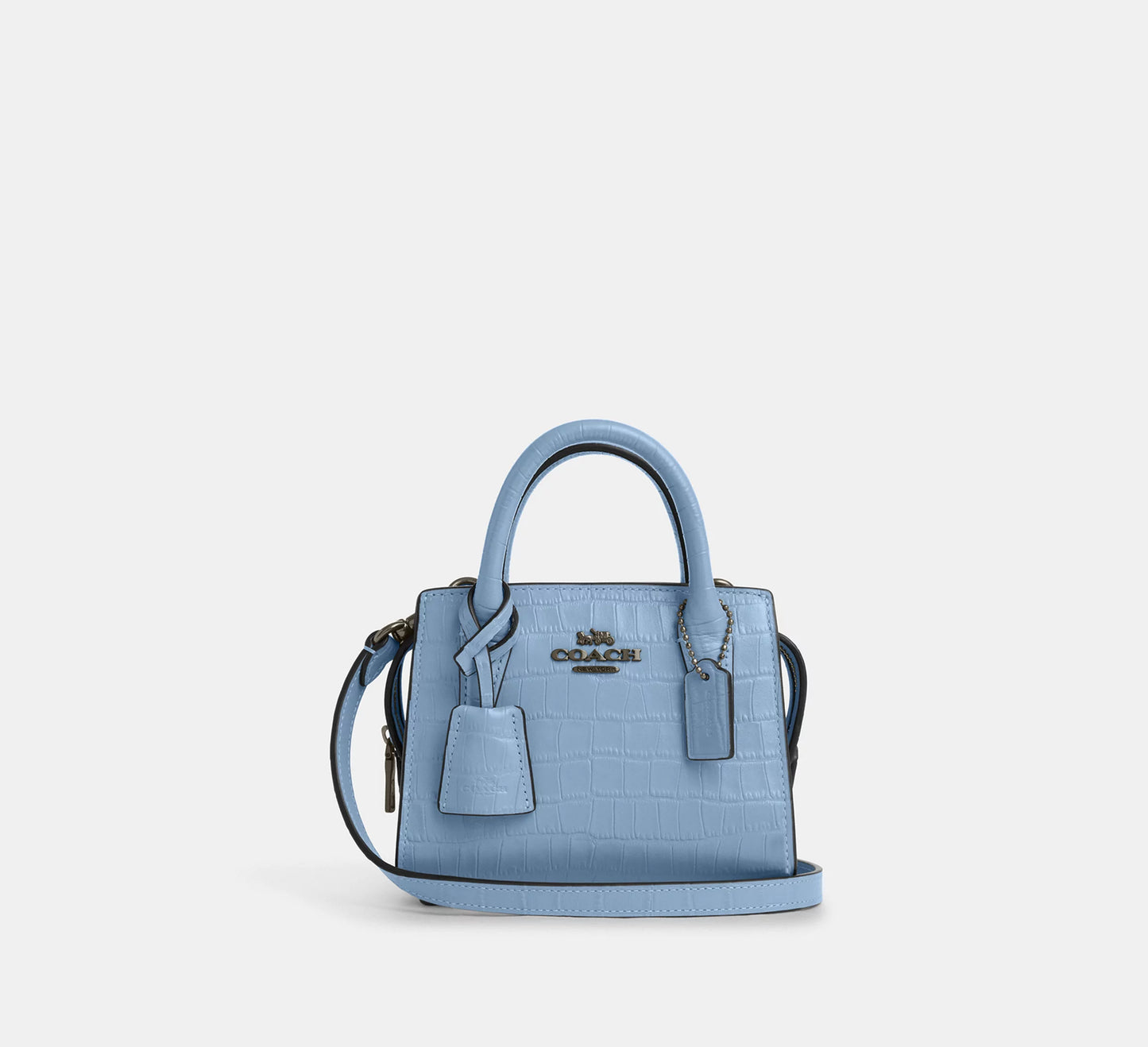 Coach Andrea Mini Carryall