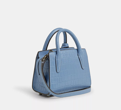 Coach Andrea Mini Carryall